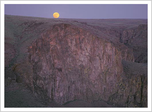 Moonrise Over Owyhee Canyonlands