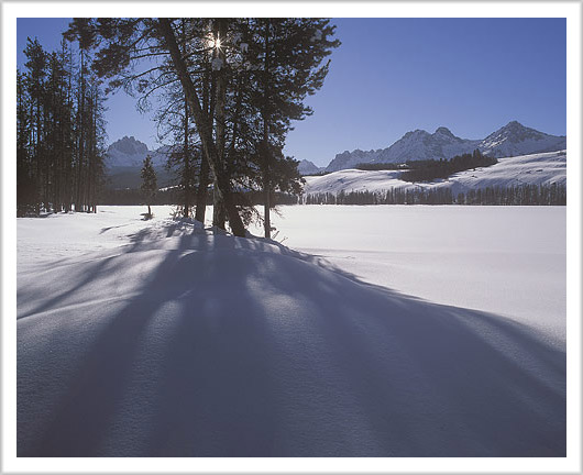 Winter Sun Over Sawtooth Forest