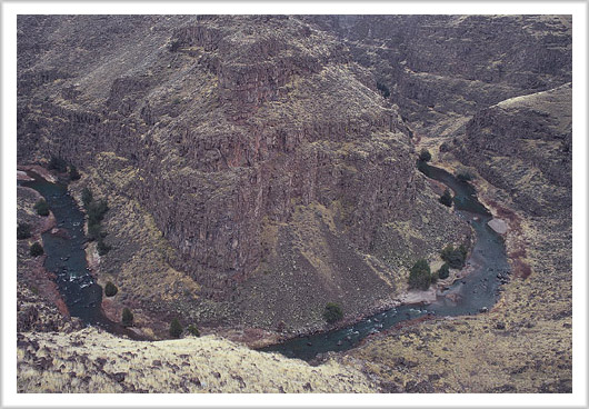 Bruneau Canyon in Early Spring