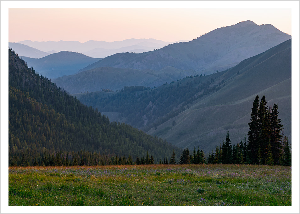 Long View from Mountain Meadow