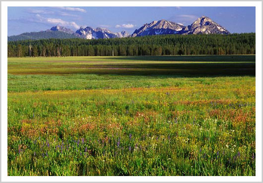 Sawtooths and Meadow