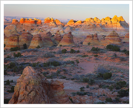 Last Light on Coyote Buttes