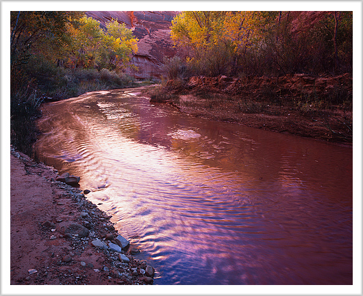 Early Evening in Coyote Gulch