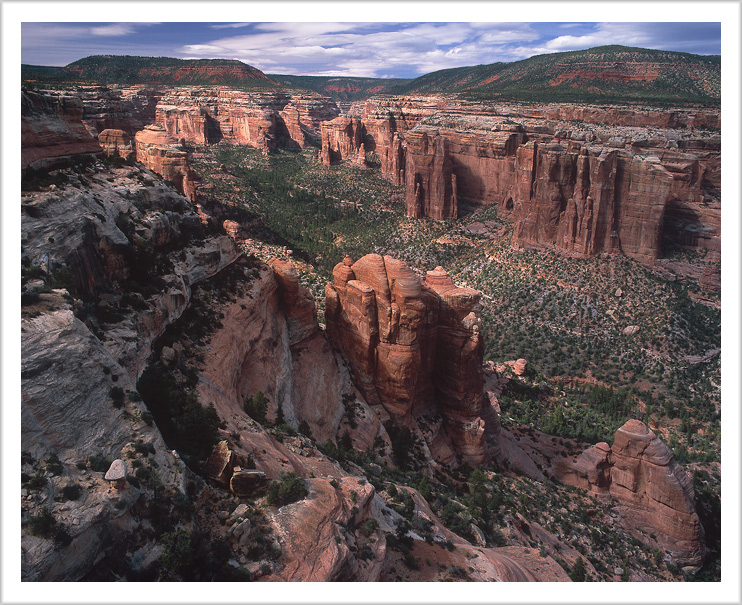 Arch Canyon Overlook