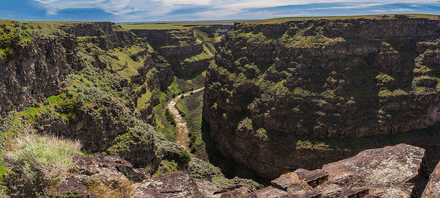 Bruneau Canyon Panorama