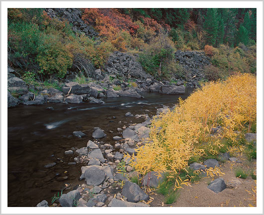 Fall Colors and Stream