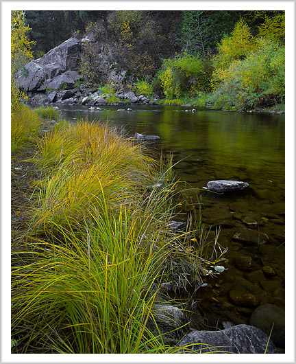 Fall Color of Idaho Stream
