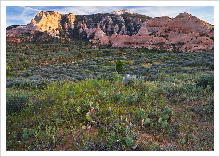 Big View of Navajo Mountain