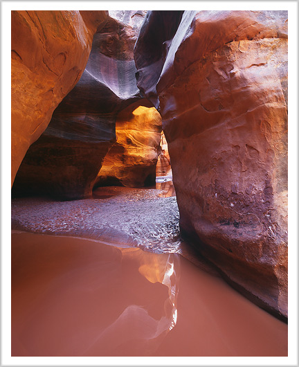 Fry Canyon Reflections