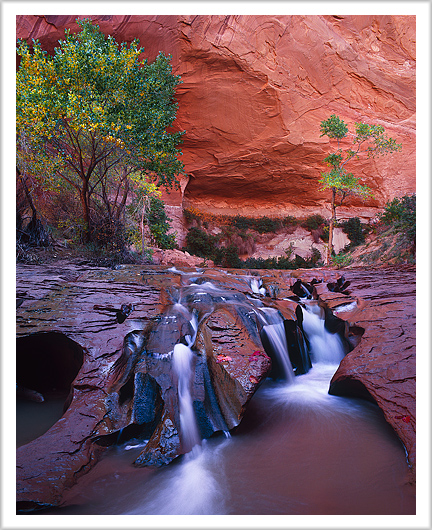 Coyote Gulch Waters