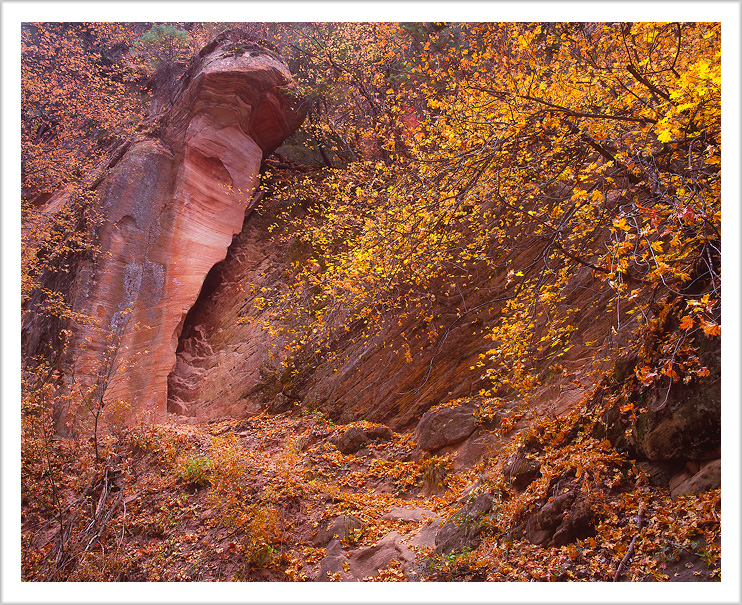 Fall Color of Hidden Canyon