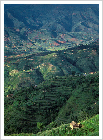 Nepalese Farmland